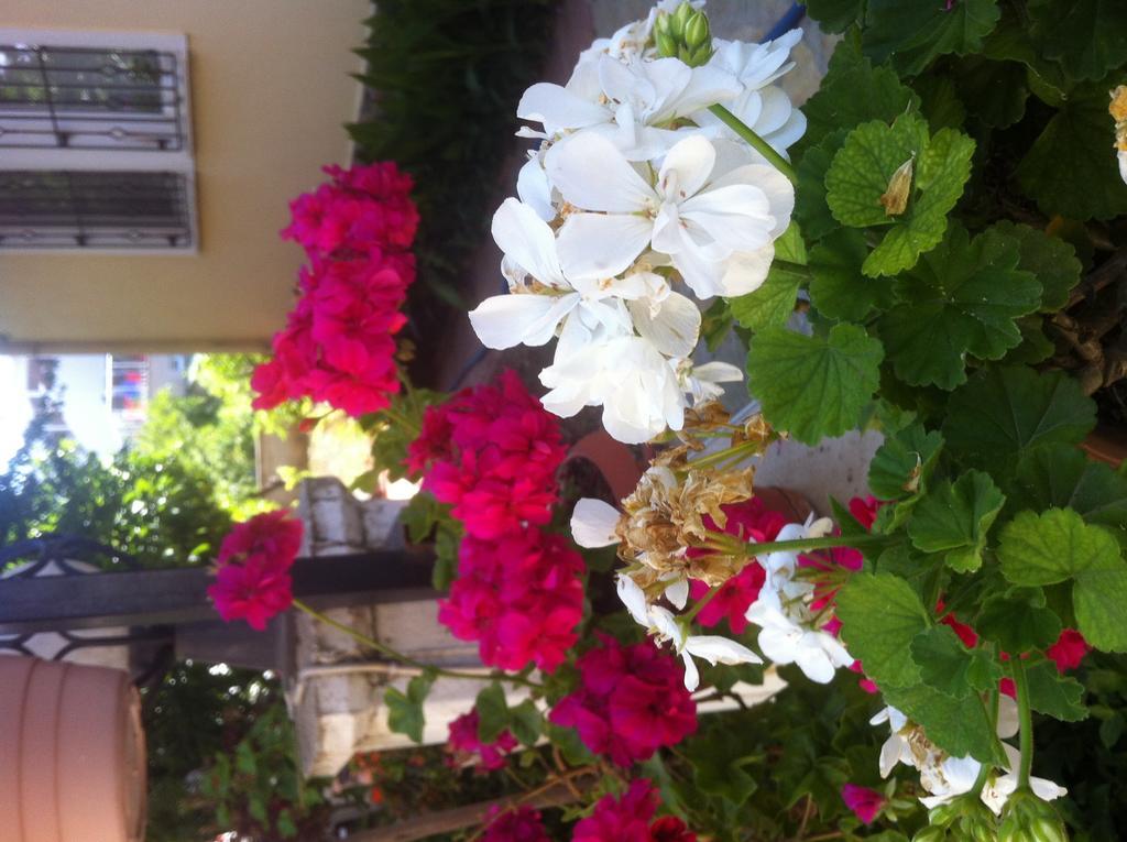 Besik Hotel Fethiye Exterior foto