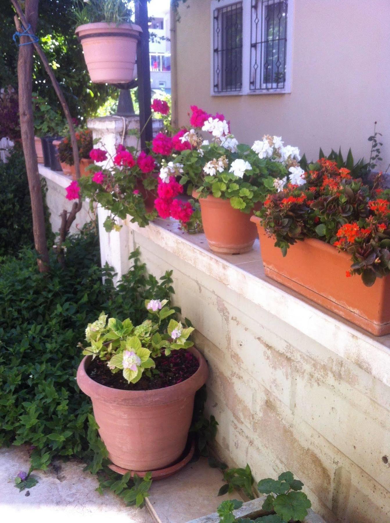 Besik Hotel Fethiye Exterior foto